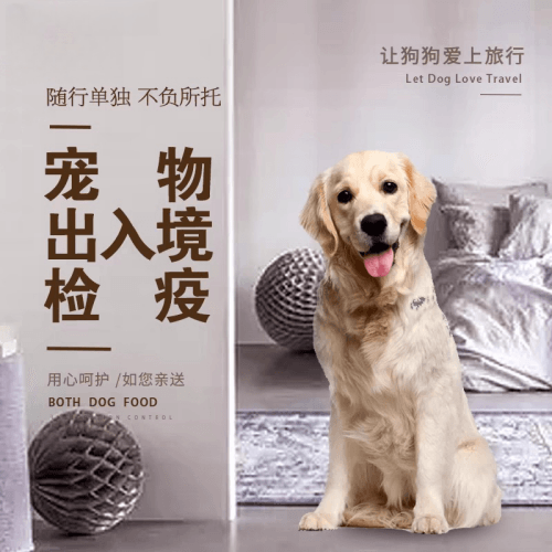 日照市宠物托运到哥伦比亚猫狗宠物入境规定和