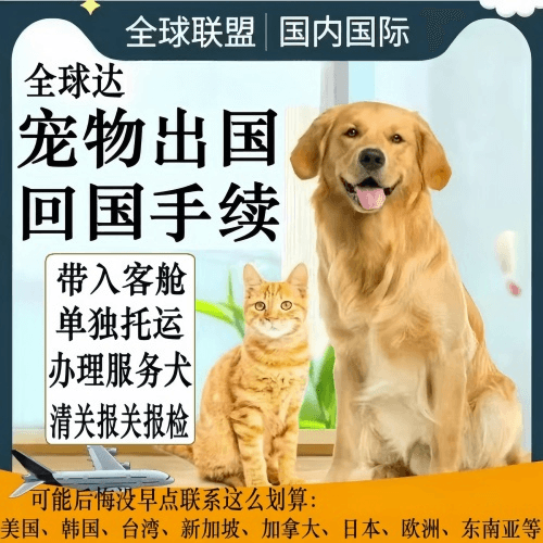 日照市宠物托运到柬埔寨宠物入境规定和要求
