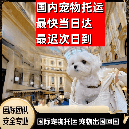 日照市到澳大利亚（澳洲）宠物入境规定和要求
