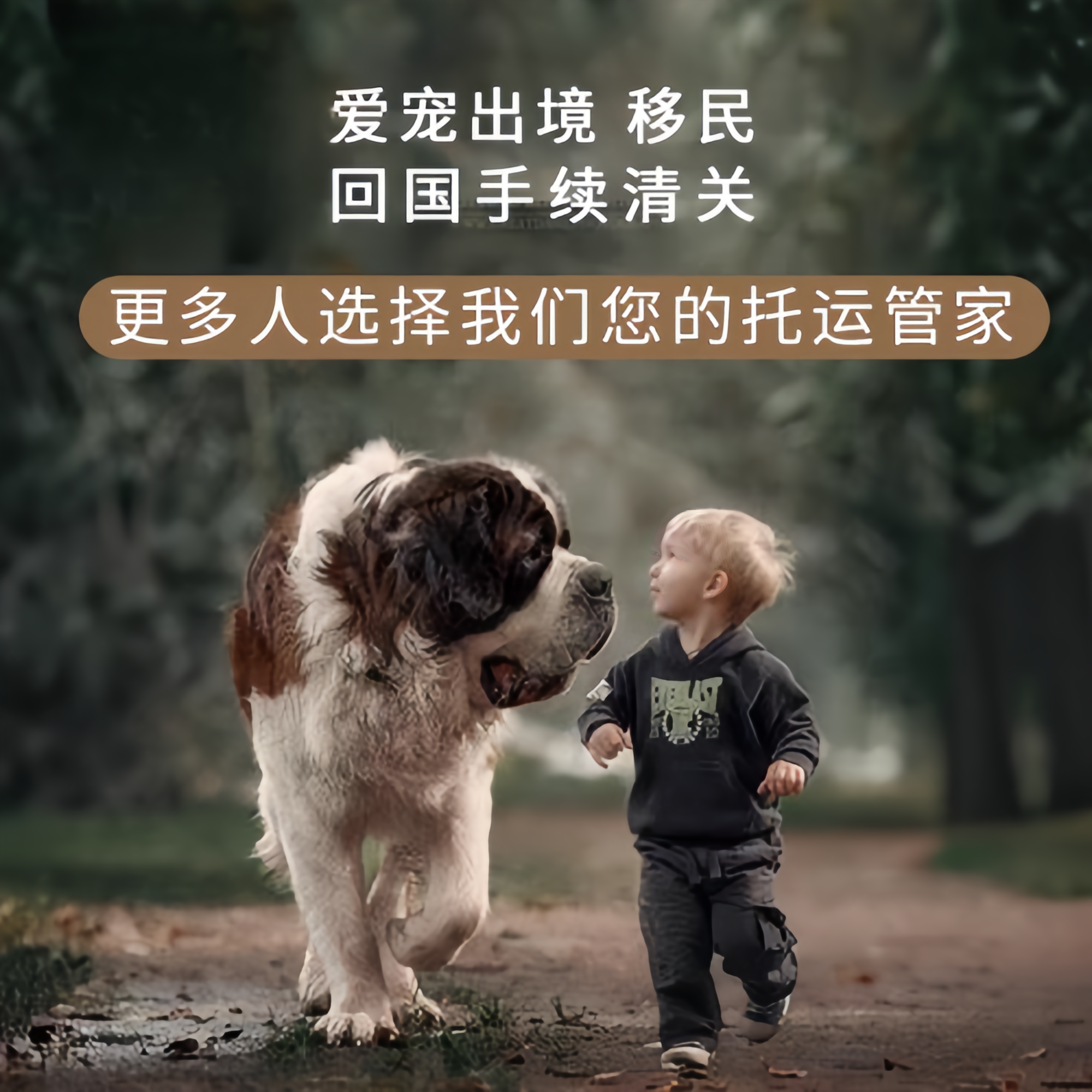 满财日照市宠物全球达宠物托运在遵守入境目的地政策的条件