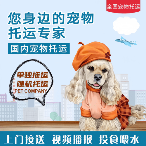 满财日照市宠物全球达宠物托运作为专业的宠物运输代理机构